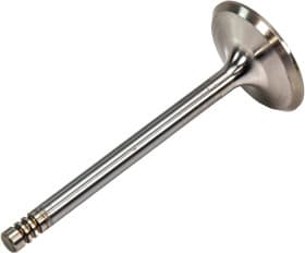 Впускной клапан Впускной клапан