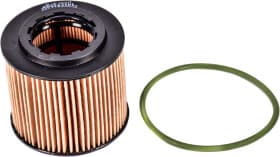 Оливний фільтр