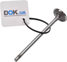 Впускний клапан