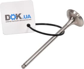 Выпускной клапан