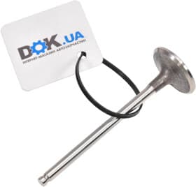 Впускной клапан