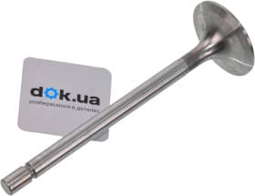 Впускной клапан