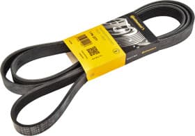 Поліклиновий ремінь