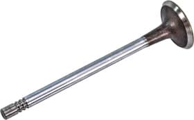 Впускний клапан