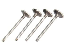 Впускний клапан Sasic 4000902