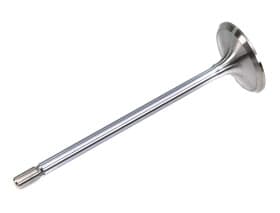 Впускной клапан