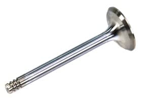 Впускной клапан