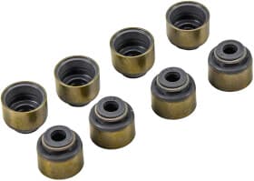 Комплект сальників клапанів Комплект сальників клапанів