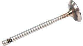 Впускной клапан