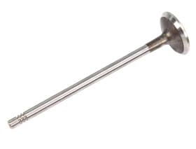 Впускной клапан