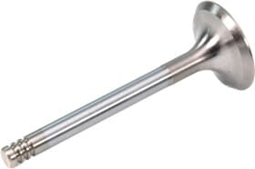 Впускной клапан