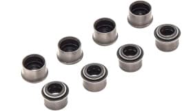 Комплект сальників клапанів Комплект сальників клапанів