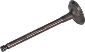 Впускной клапан