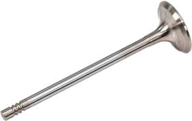 Впускной клапан