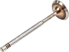 Впускний клапан