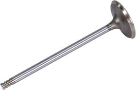 Впускной клапан