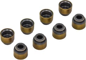 Комплект сальників клапанів Комплект сальників клапанів