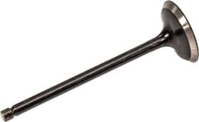 Впускной клапан