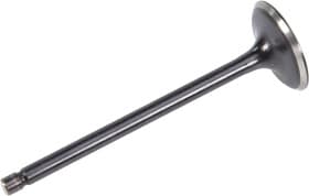 Впускной клапан