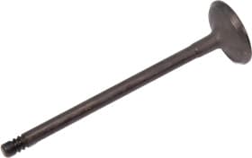 Впускной клапан