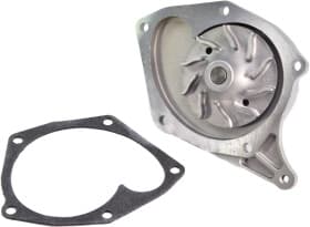 Помпа Помпа