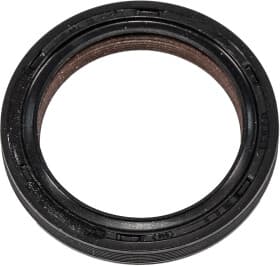 Сальник колінчастого вала Сальник колінчастого вала