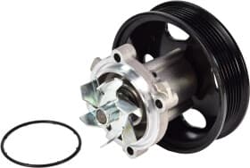 Помпа Помпа