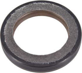 Сальник колінчастого вала Сальник колінчастого вала