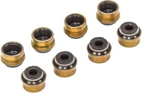 Комплект сальников клапанов Комплект сальников клапанов