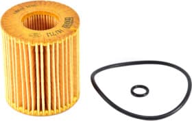 Оливний фільтр