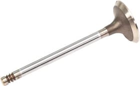 Впускной клапан