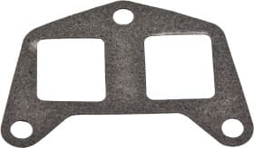 Прокладка впускного коллектора