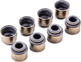 Комплект сальників клапанів Комплект сальників клапанів
