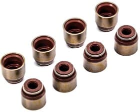 Комплект сальників клапанів Комплект сальників клапанів