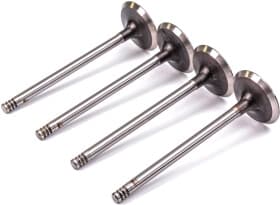 Впускной клапан