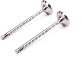 Впускной клапан TRW 39522