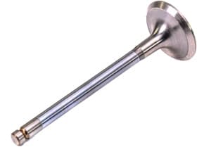 Впускной клапан