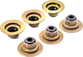 Сальник клапана