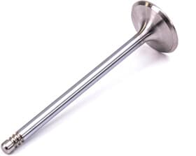 Впускной клапан BGA V029397