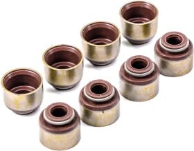 Комплект сальників клапанів Комплект сальників клапанів