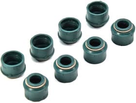 Комплект сальников клапанов Комплект сальников клапанов