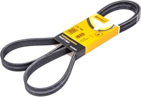 Поликлиновой ремень