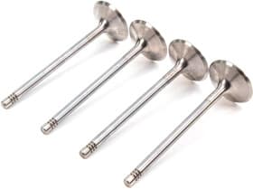 Впускной клапан