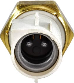 Датчик температуры впускаемого воздуха Датчик температуры впускаемого воздуха