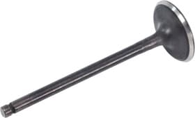 Впускний клапан