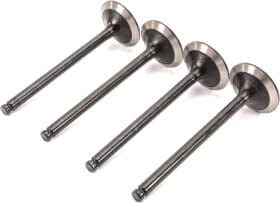 Впускной клапан