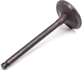 Впускной клапан