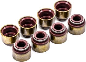 Комплект сальників клапанів Комплект сальників клапанів