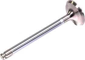 Впускний клапан Впускний клапан