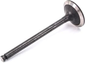 Впускной клапан